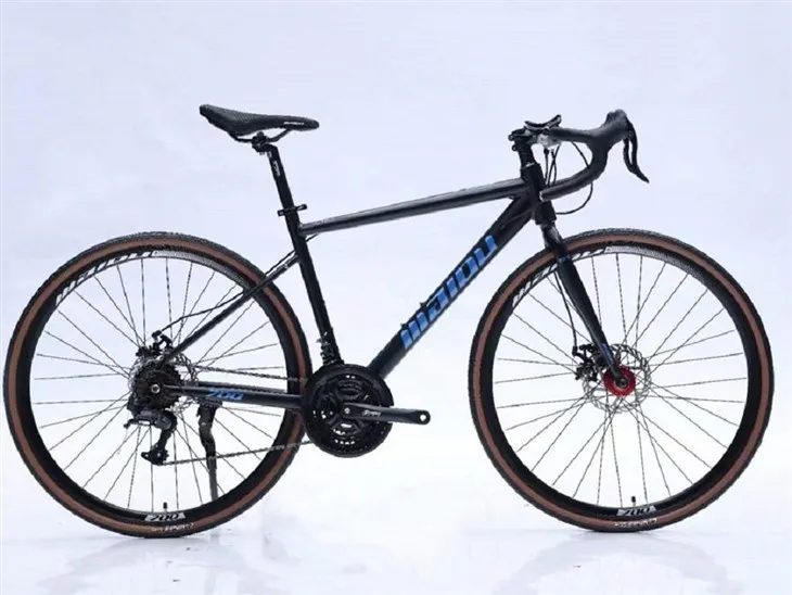 প্রাপ্তবয়স্ক রোড বাইক