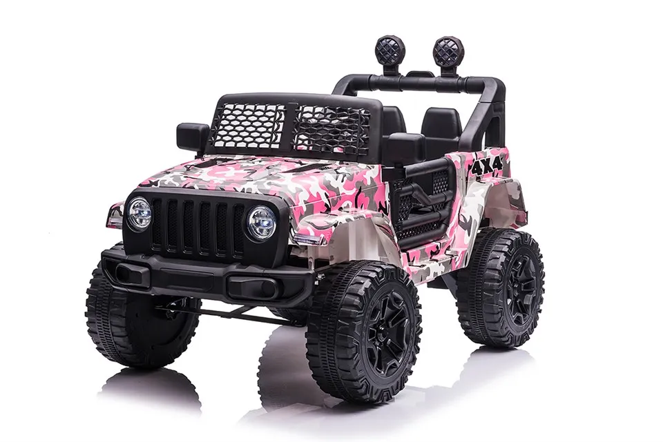 গাড়িতে বাচ্চাদের রাইড