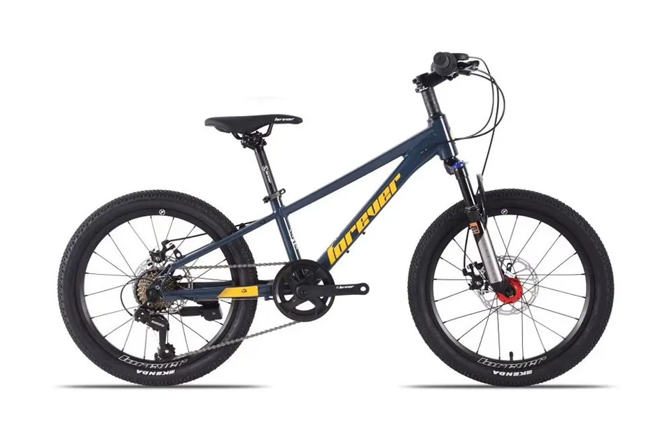 পুরুষ এবং মহিলা মাউন্টেন বাইক