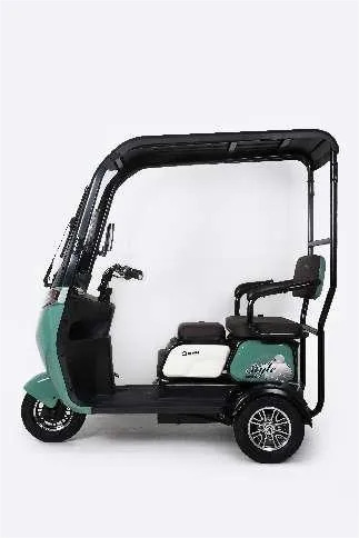 বৈদ্যুতিক ট্রাইক